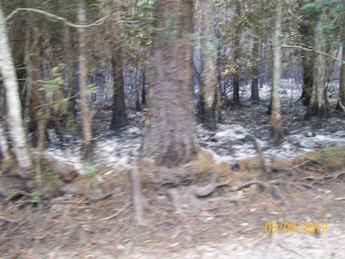 2012-Mar-03HGR4X4Richloam 143